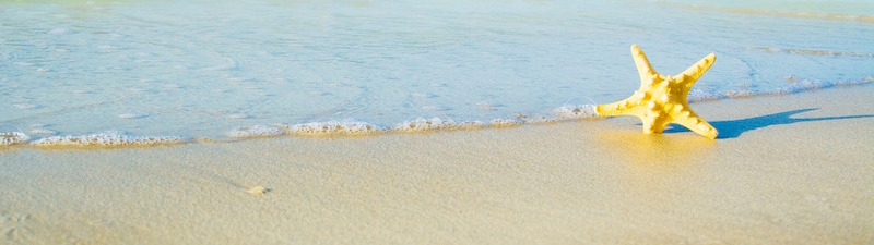 feature summer