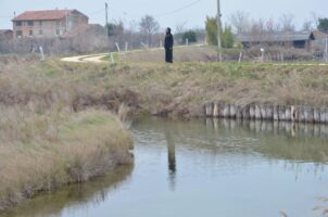 Proserpina press11
